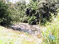 28 - Jardin des eaux 016